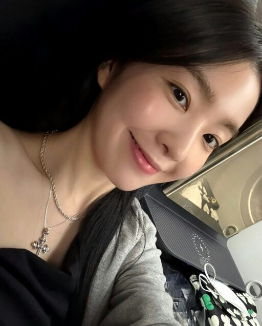 Irene aegyo criticismperson' 'smiling' 'necklace' 'airplane' 'mask.