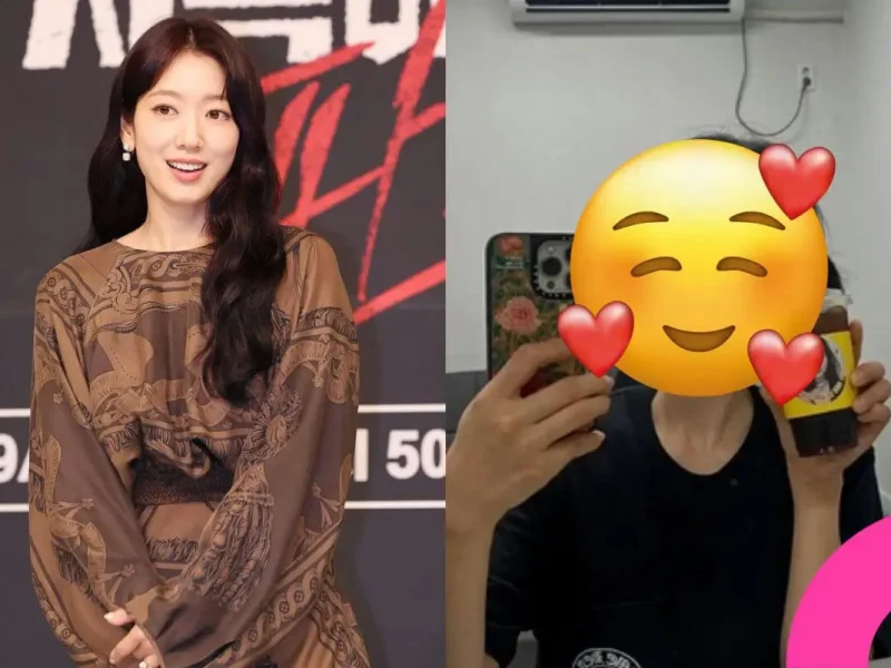 park shinhye recent appearance