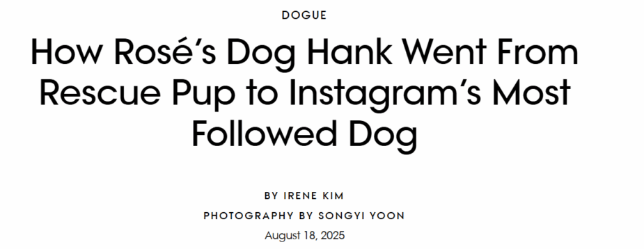 BLACKPINK Rosé Hank Vogue backlashpeople' '' 'osé' 'dog' 'rescue' 'instagram' '' '' '' '' '' '.