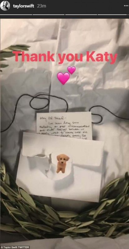 The olive branch Katy sent was respectfully posted by Taylor on her story.