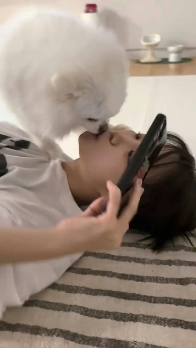 Chaewon dog video backlashpeople' 'dog' 'kissing' 'phone' 'laying.