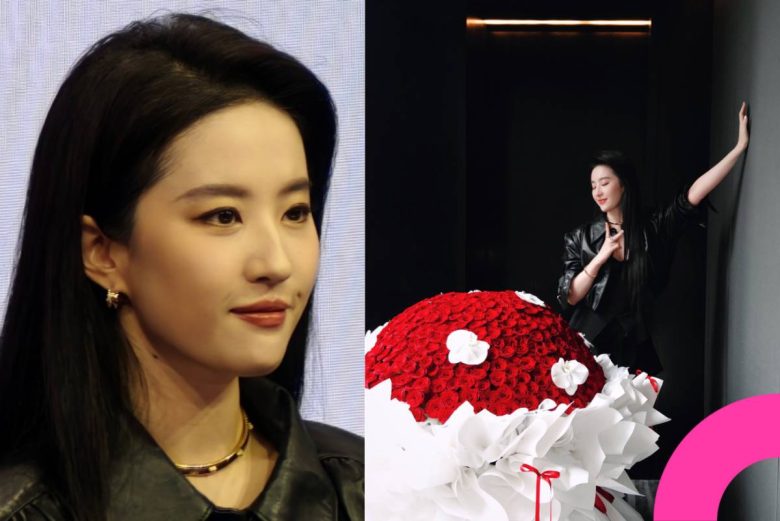 Liu Yifei public appearance