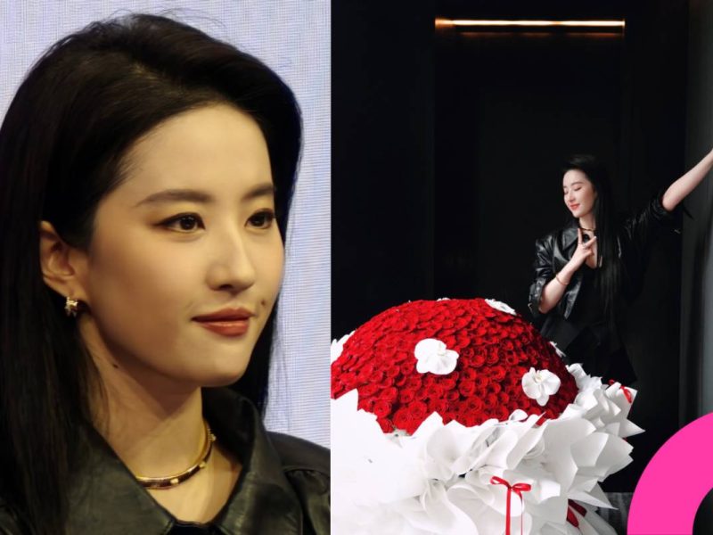 Liu Yifei public appearance