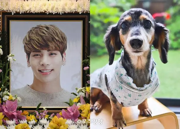 shinee jonghyun dog roo death