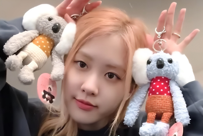 Rosé 2025 YouTube incomeperson' 'girl' 'koala' 'toy' 'cute.