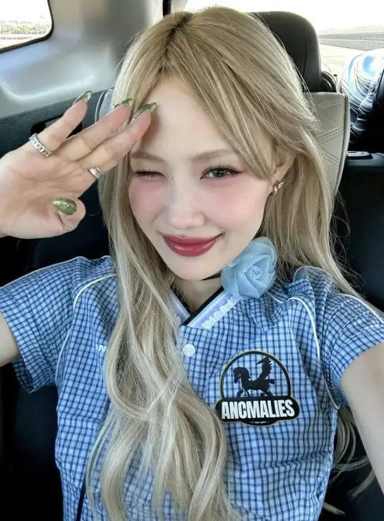 ibuki osaka ojo gang wswf concert dispute