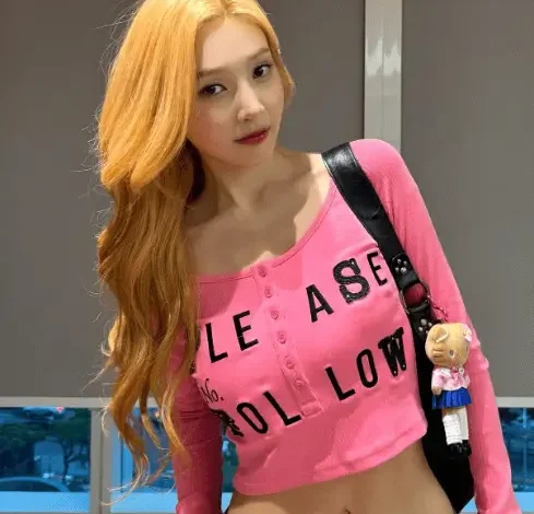 joy red velvet latest sns update