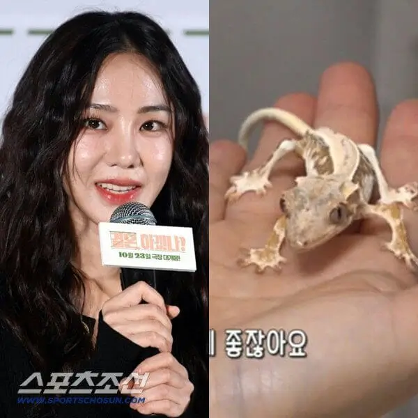 han ji eun animal abuse allegations