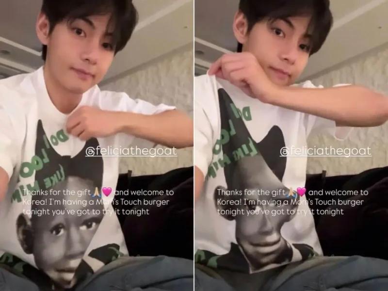 bts v tyler the creator concert moms touch