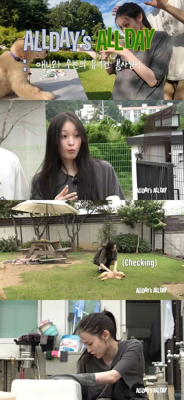 Annie Shinsegae daughter volunteerpeople' 'dog' 'volunteering' 'yard' 'care.