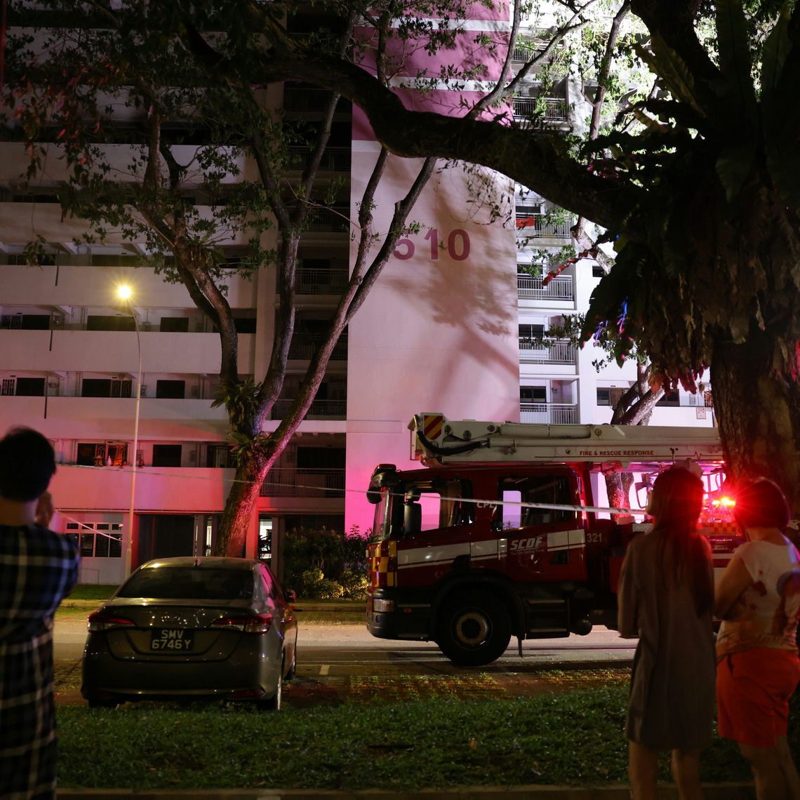 Japanese mother keeps daughter’s body in freezer for 20 yearspeople' 'night' 'firetruck' 'building' 'car.