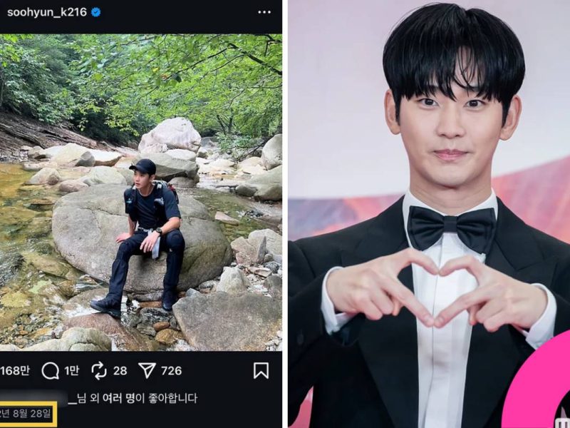 Kim Soo Hyun fandom secondary harm