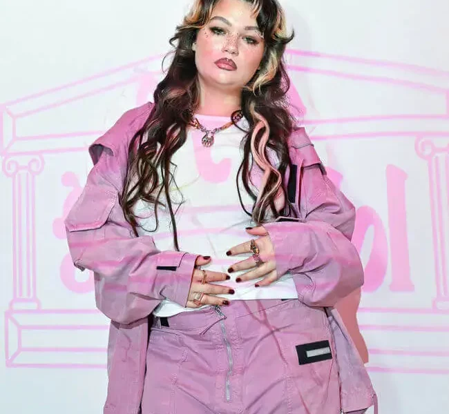 lola young cancels concerts after collapse