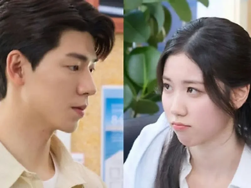 bae hyunsung lee re newlywed shins project