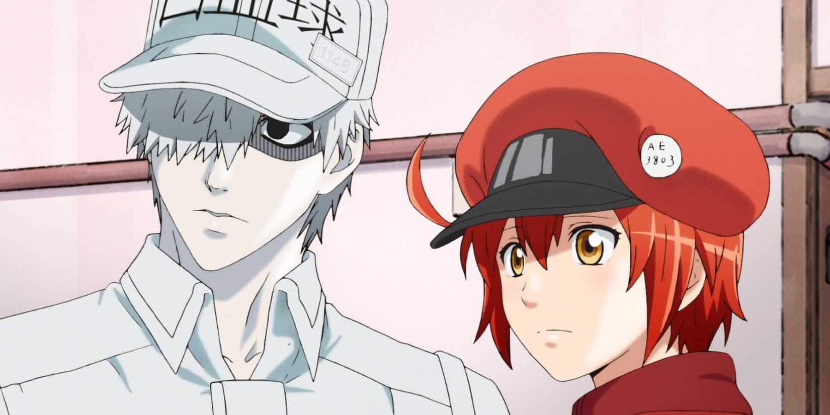 anime failure disappointing anime anime that floppedanime' 'cells' 'white' 'blood' 'cell' 'red' 'blood' 'cell' 'cap.