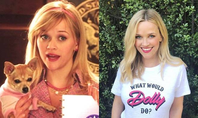 Reese Witherspoon abuse confessionpeople' '' 'eese' '' 'itherspoon' 'blonde' 'hair' 'chihuahua' '' '' 'shirt.
