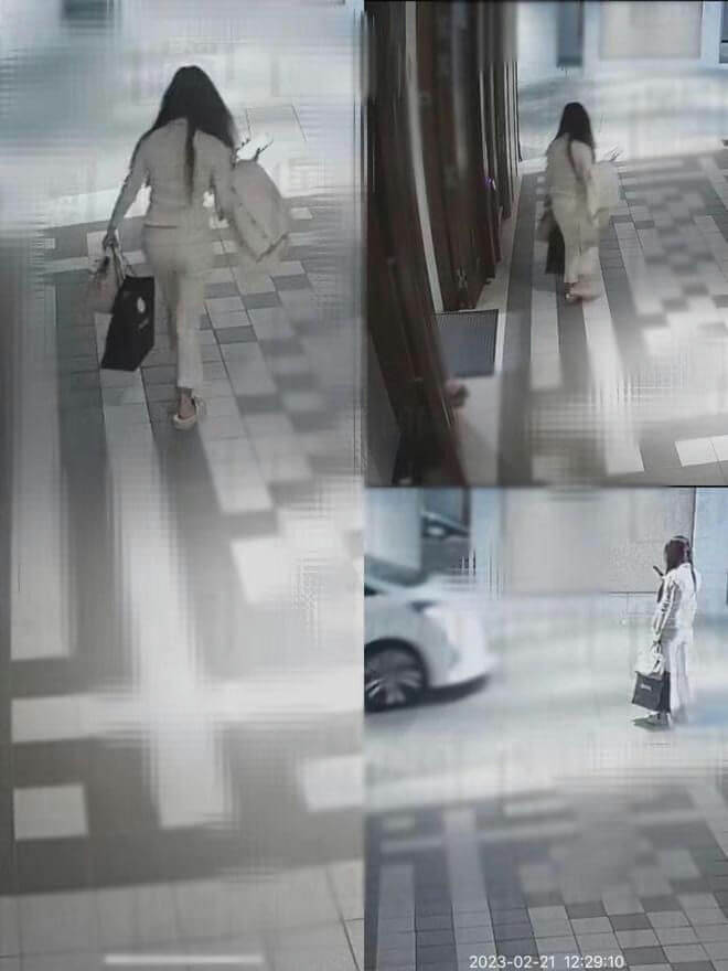 people-1-woman-A-attire-white-suit-B-carrying-shopping-bags-C-location-indoor-walkway