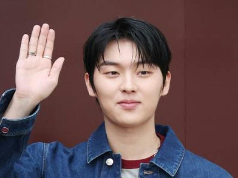 choi hyun wook fast pitch apology