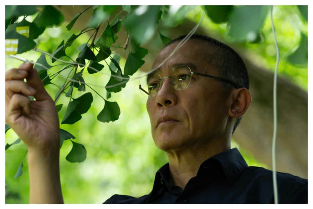 people-A-man-A-ginkgo leaves-B-glasses-C-outdoors