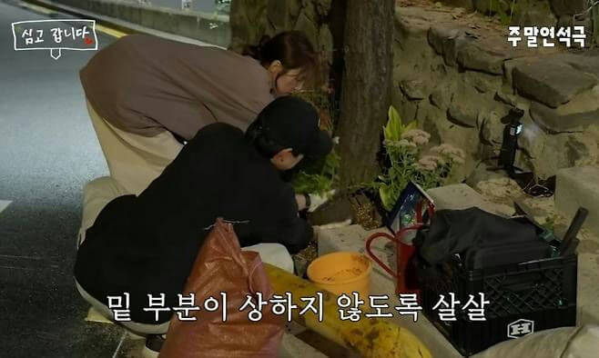 people-two people tending to plants-A-night-B-Korean text overlay-C-outdoor setting