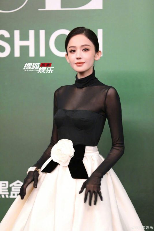 people-woman-black and white dress-A-sheer black turtleneck-B-white full skirt-C-large white camellia flower accent