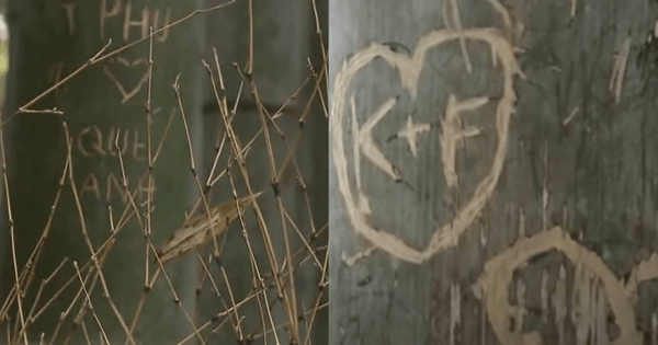 arashiyama bamboo grove vandalism