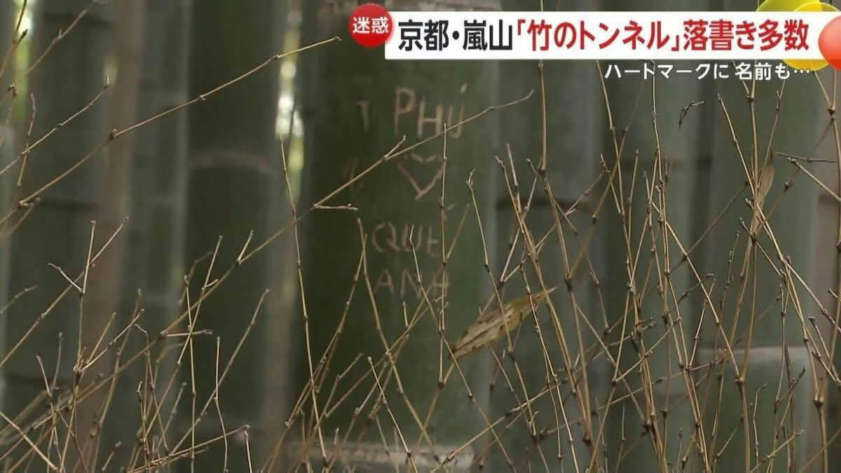 nature-bamboo forest-graffiti-Kyoto-bamboo tunnel-scratches-news overlay