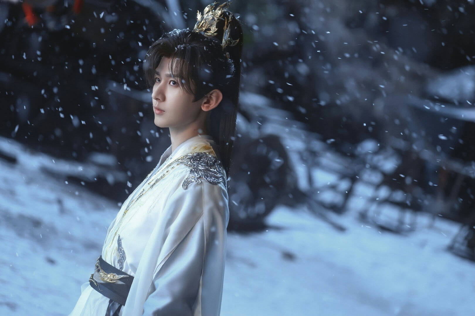 people-1-Asian male-A-Chinese costume drama-A-white robe-A-snowing-A-gold crown