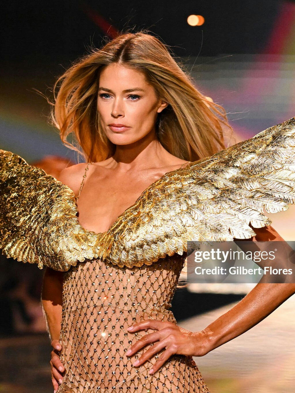 people-Doutzen Kroes-A-model-A-Victoria's Secret Fashion Show-B-golden wings-C-fishnet dress