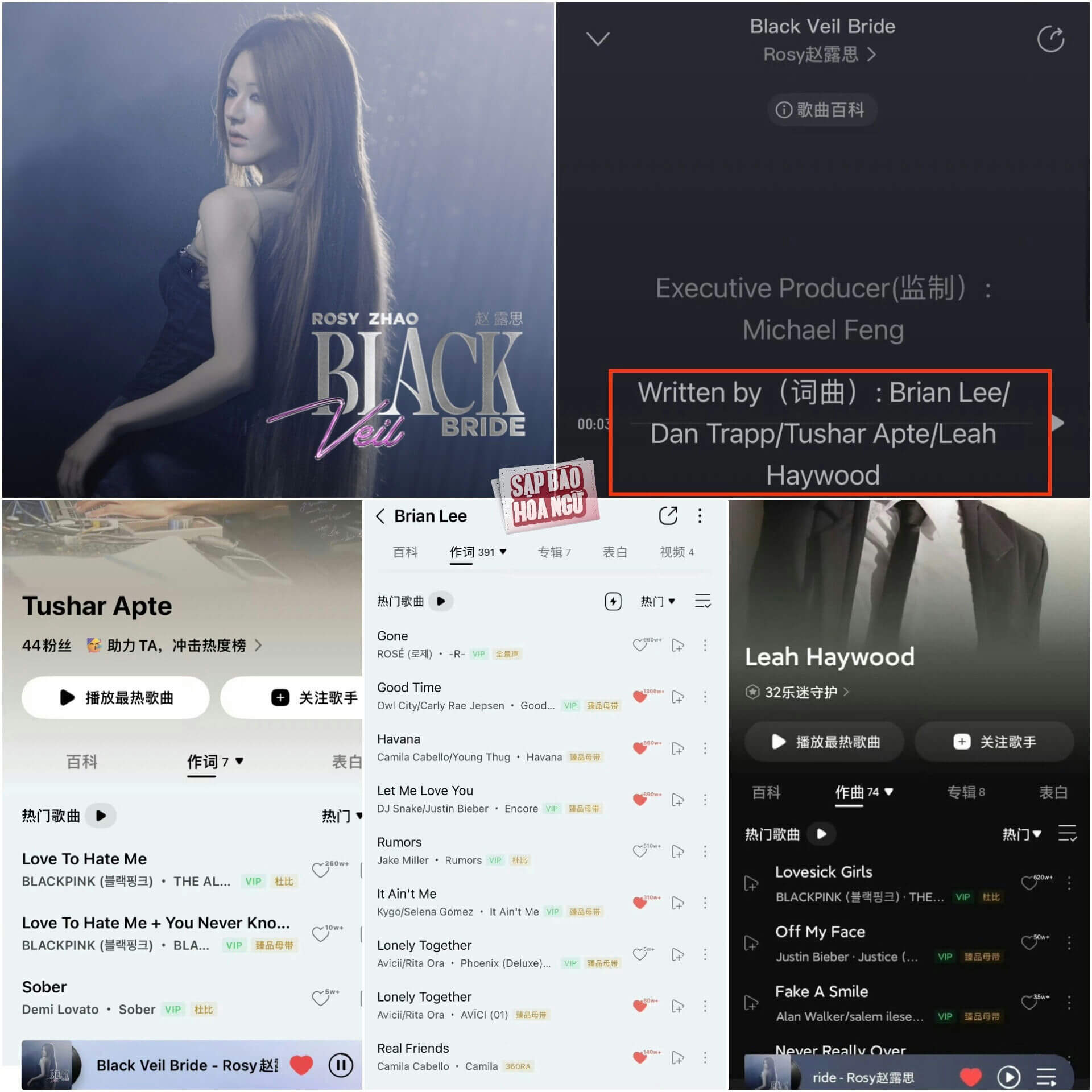 Zhao Lusi Black Veil Bride English debut