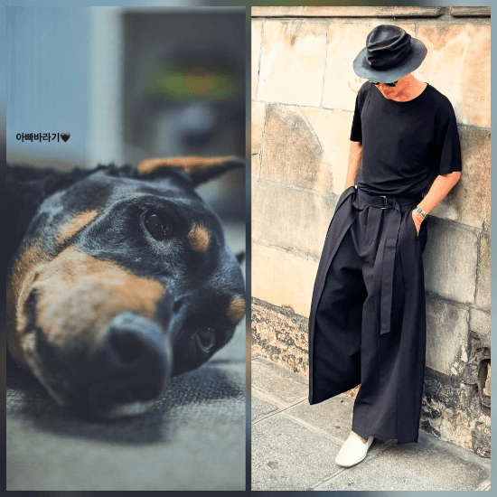 bae jungnam mourning dog belle