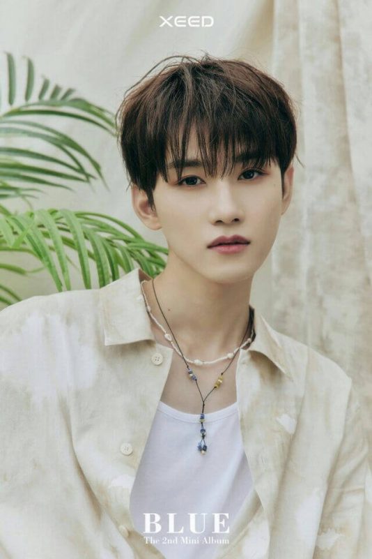 people-A-kpop idol-A-young man-A-casual fashion-A-tropical background-A-Xeed album concept