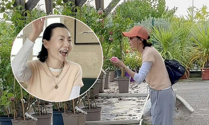maggie cheung dream garden france retirement
