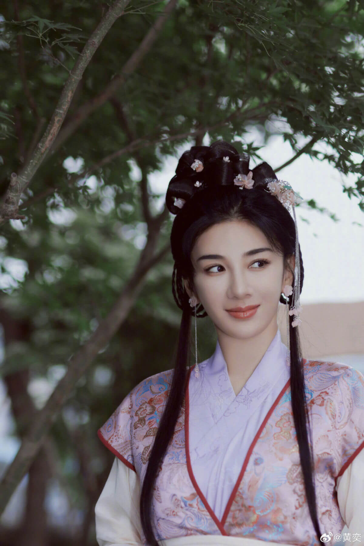 huang yi facial change controversy