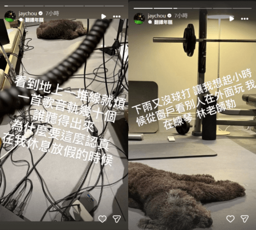 people-Jay Chou-A-dog-A-cables-B-weights-C