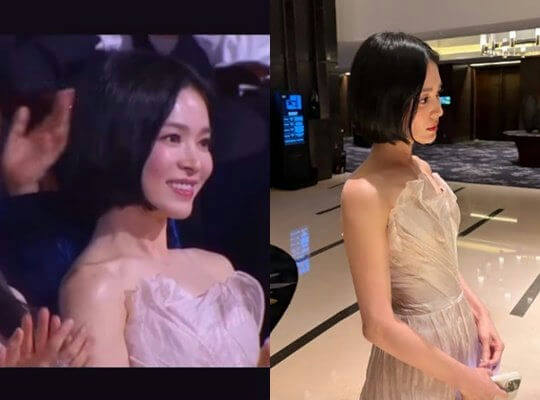 song hye kyo blue dragon red carpet absence