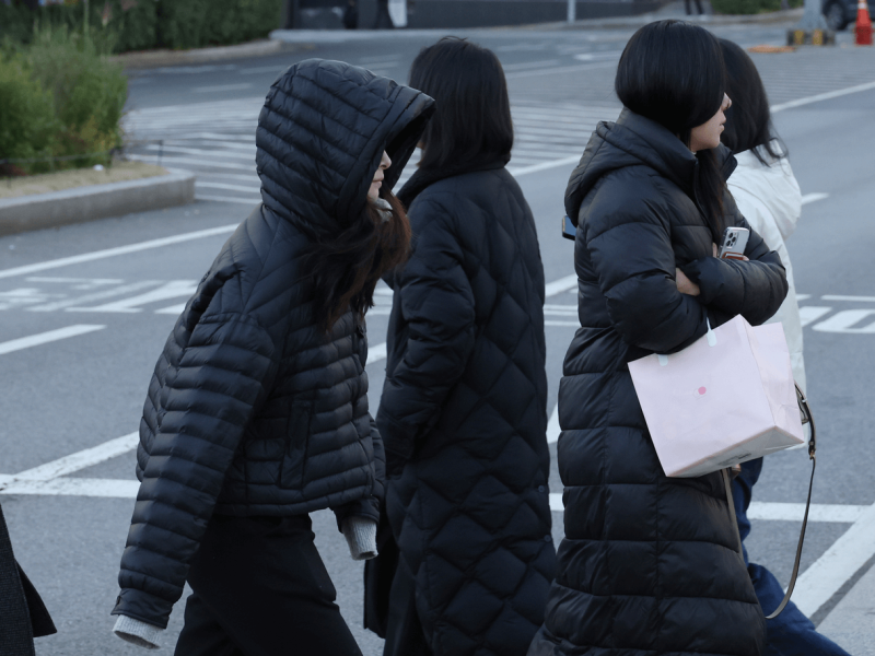 people-4-winter-coat-A-puffer-jacket-B-crossing-street-C-carrying-bag