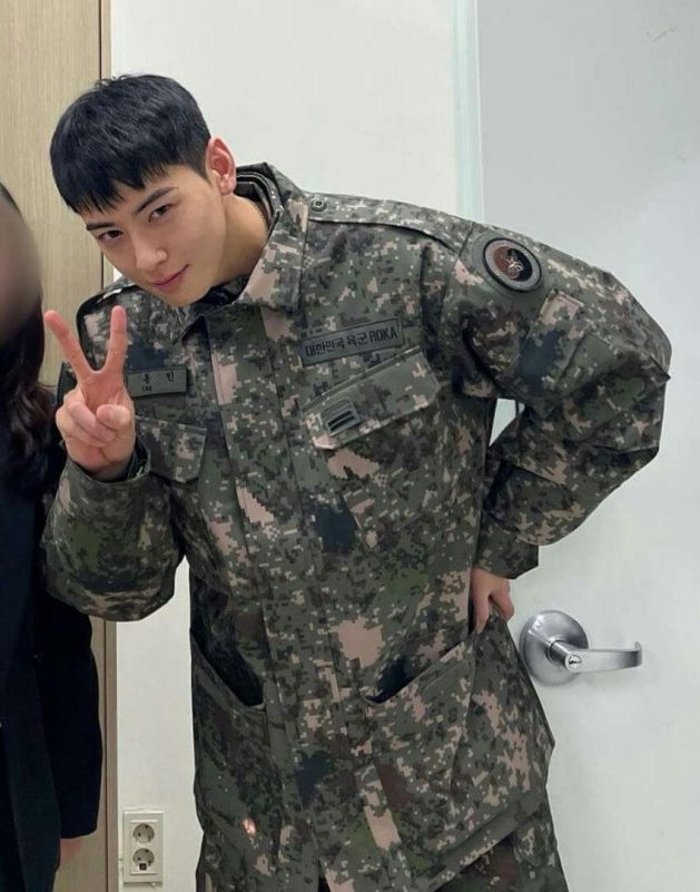 people-A-Cha Eun-woo-A-military uniform-B-South Korean Army camouflage-C-peace sign