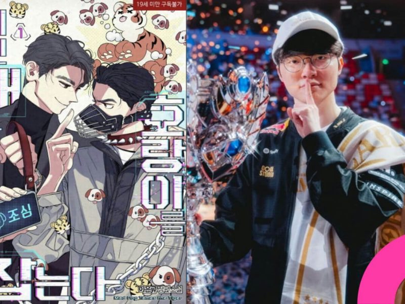 bl novel faker controversy