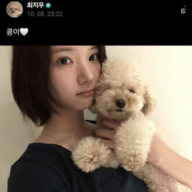 people-1-woman-A-dog-A-poodle-B-selfie-C