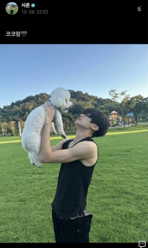 people-1-man-A-dog-A-park-A-holding-up