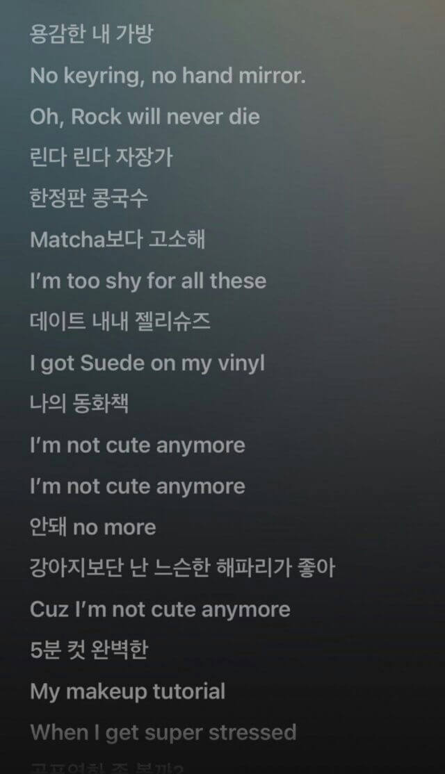 A screenshot of song lyrics displayed on a dark background. The lyrics are a mix of Korean and English. Lyrics Visible (Top to Bottom): 용감한 내 가방 (Brave my bag) No keyring, no hand mirror. Oh, Rock will never die 린다 린다 자장가 (Linda Linda lullaby) 한정판 콩국수 (Limited edition soybean noodle soup) Matcha보다 고소해 (Nutty/Savory more than Matcha) I'm too shy for all these 데이트 내내 젤리슈즈 (Jelly shoes throughout the date) I got Suede on my vinyl 나의 동화책 (My fairy tale book) I'm not cute anymore I'm not cute anymore 안돼 no more (No more) 강아지보단 난 느슨한 해파리가 좋아 (I prefer a loose jellyfish over a puppy) Cuz I'm not cute anymore 5분컷 완벽한 (Perfect in 5 minutes) My makeup tutorial When I get super stressed (The last line is partially cut off) people-A-song lyrics-A-Korean-A-English-A-dark background