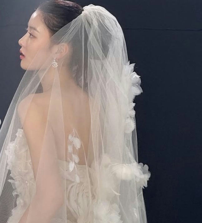 people-Woman-A-Bridal Veil-A-White Dress-A-Profile View