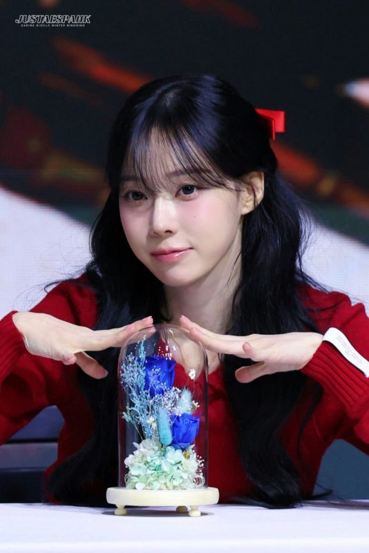 people-Woman (K-pop Idol)-A-Red Sweater-A-Black Hair-A-Preserved Flowers in Glass Dome-A-Blue Roses-A-Red Hair Bow