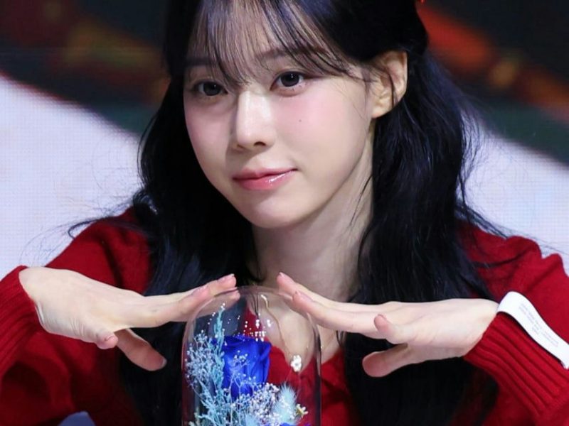 people-Woman (K-pop Idol)-A-Red Sweater-A-Black Hair-A-Preserved Flowers in Glass Dome-A-Blue Roses-A-Red Hair Bow
