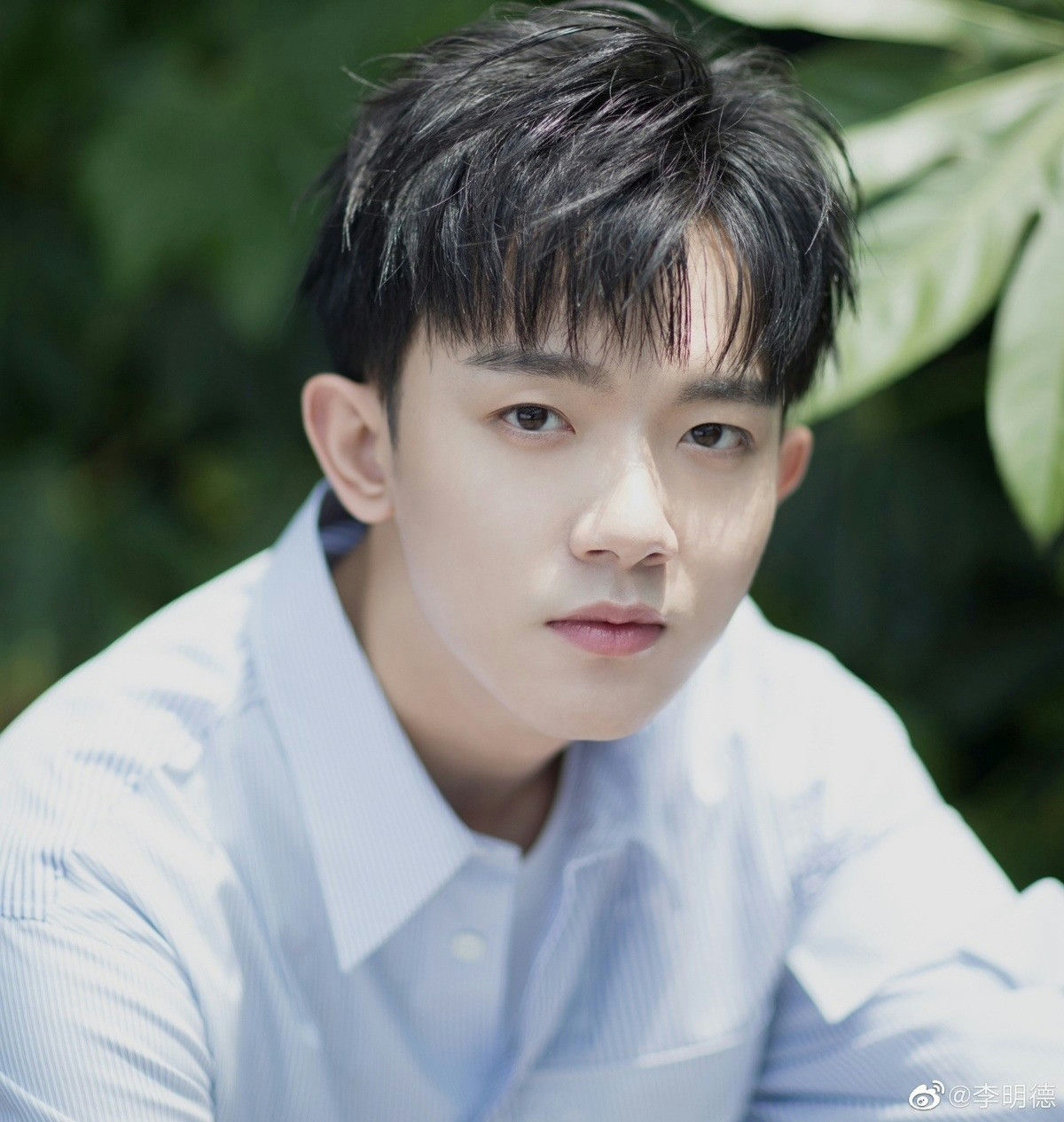people-A-young man-A-close-up portrait-B-light blue striped shirt-C-outdoor background