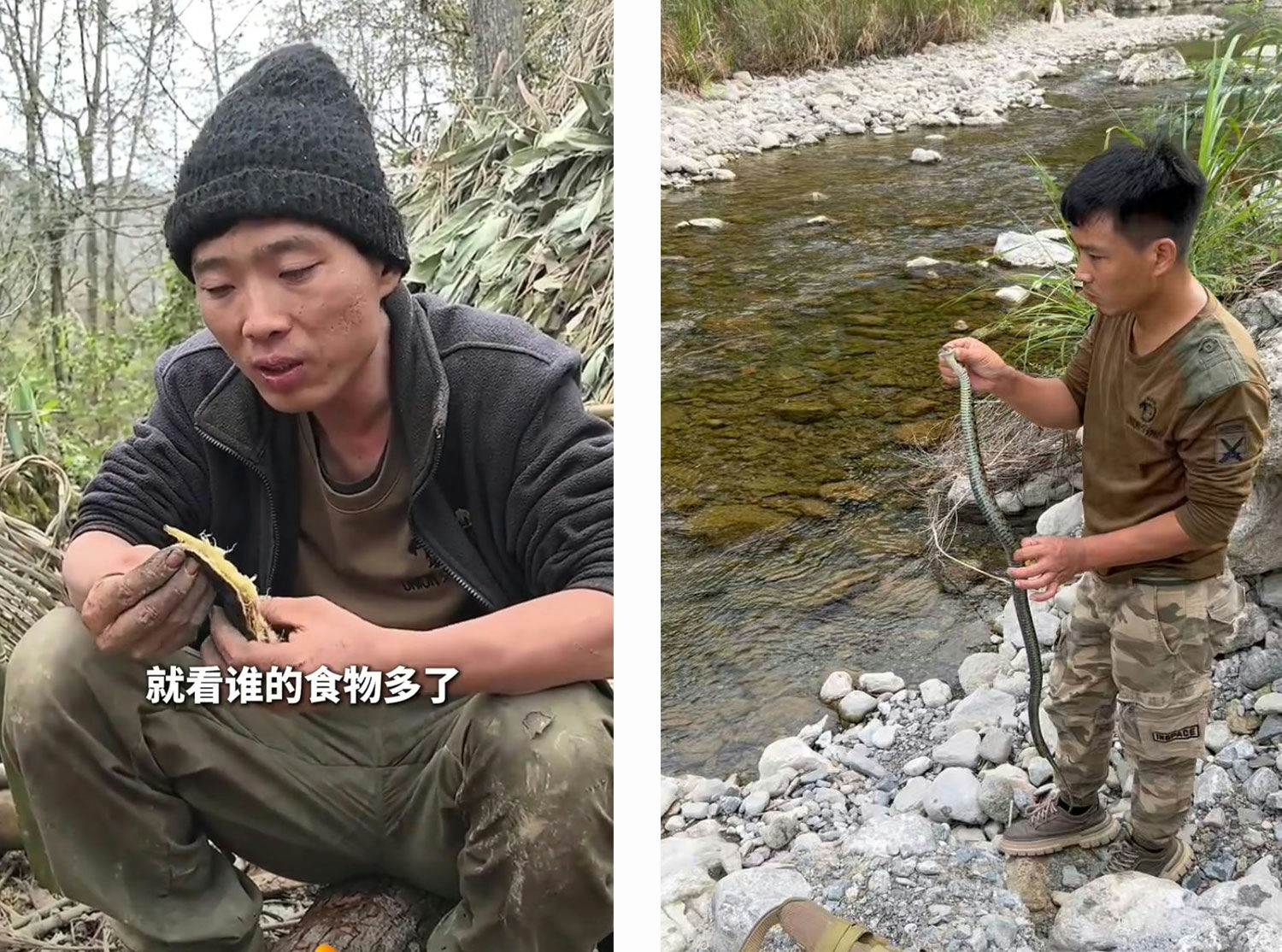 china survival show camel cup