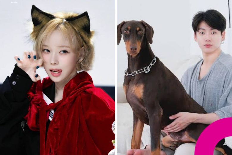 Jungkook dog Bam dating Winter controversy
