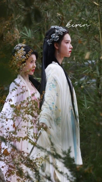people-Two women-A-traditional Chinese clothing-A-historical drama setting-B-outdoor forest background-B-floral hair accessories-C-white and pink robes-C