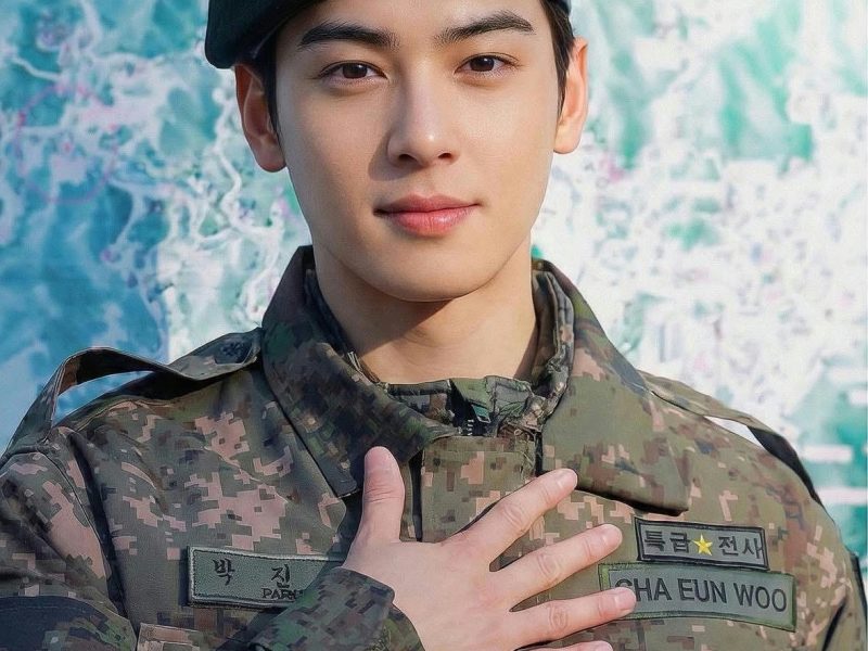 cha eun woo ministry of national defense representative
